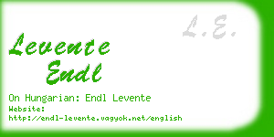 levente endl business card